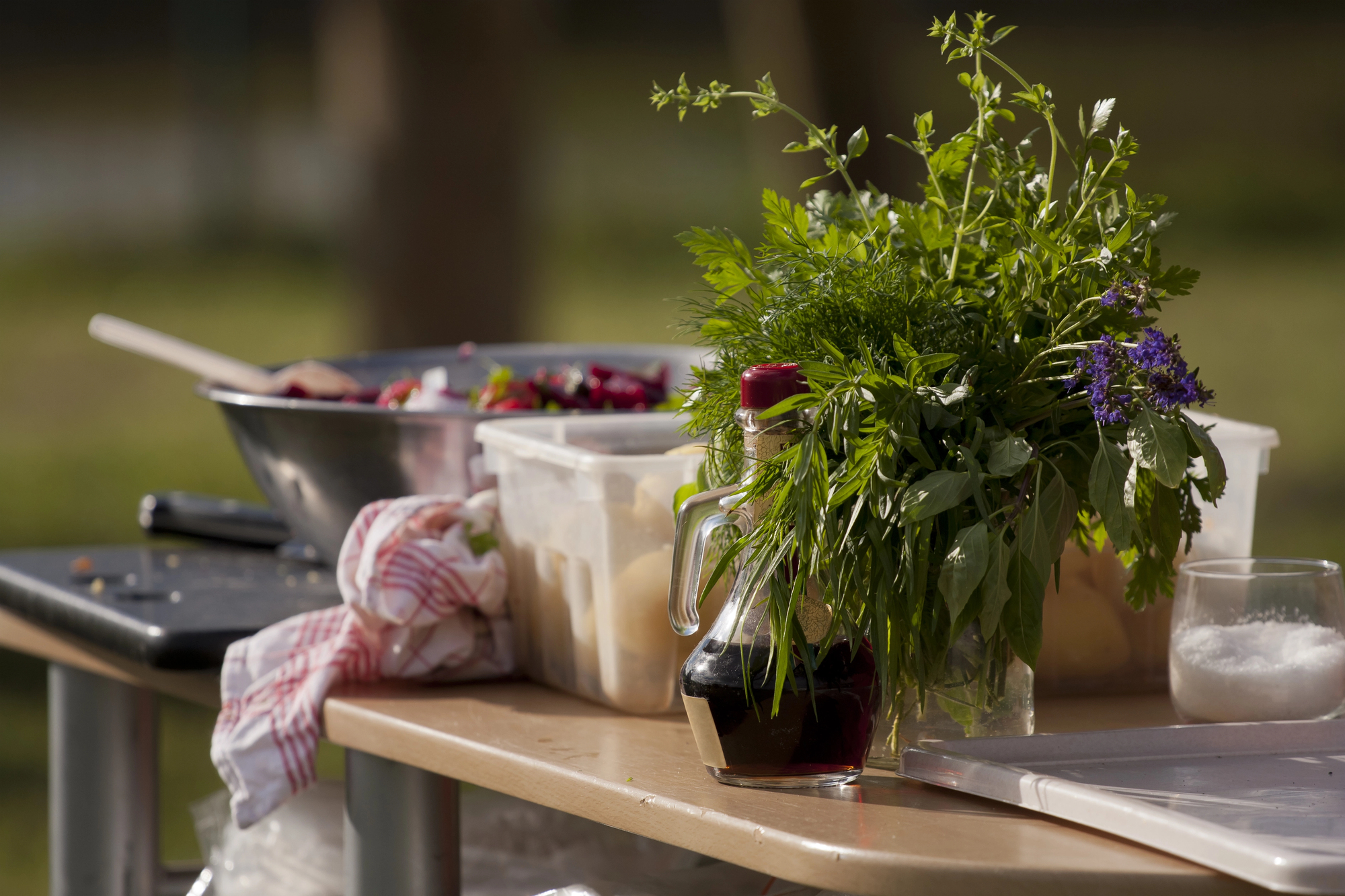 Protecting Your Outdoor Kitchen From Critters